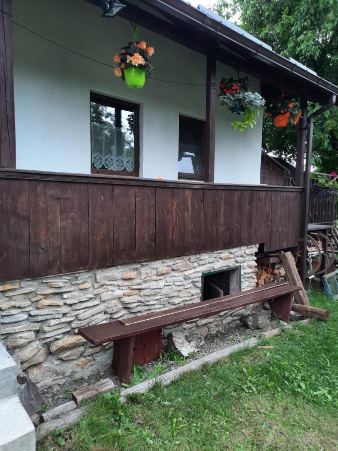Villa Casa Bunicilor Ciprian Porumbescu Esterno foto