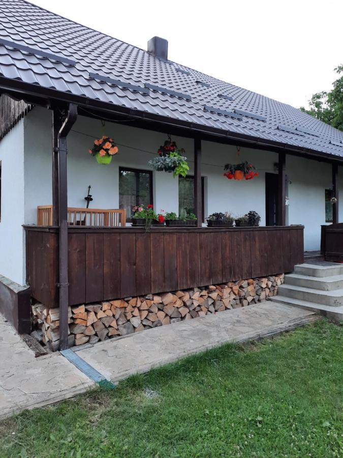 Villa Casa Bunicilor Ciprian Porumbescu Esterno foto