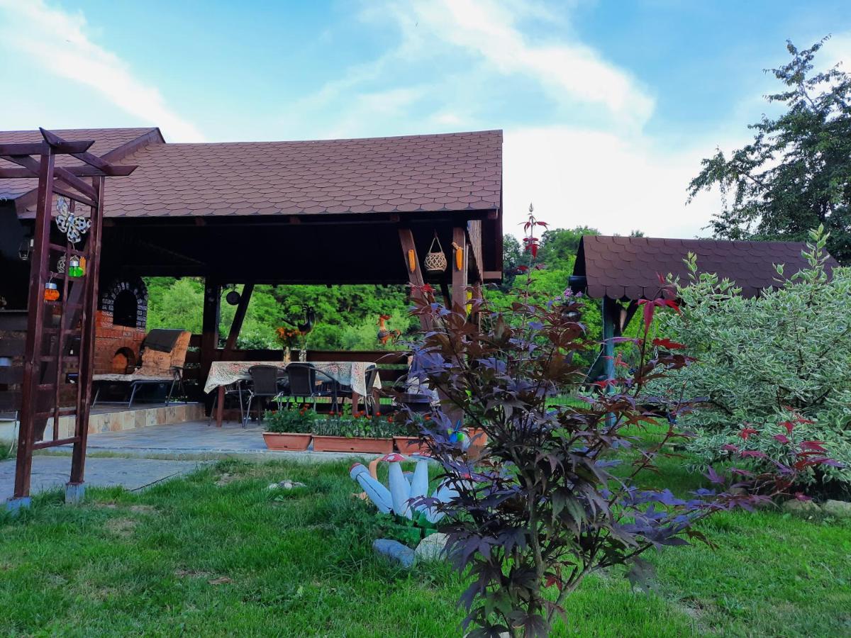 Villa Casa Bunicilor Ciprian Porumbescu Esterno foto