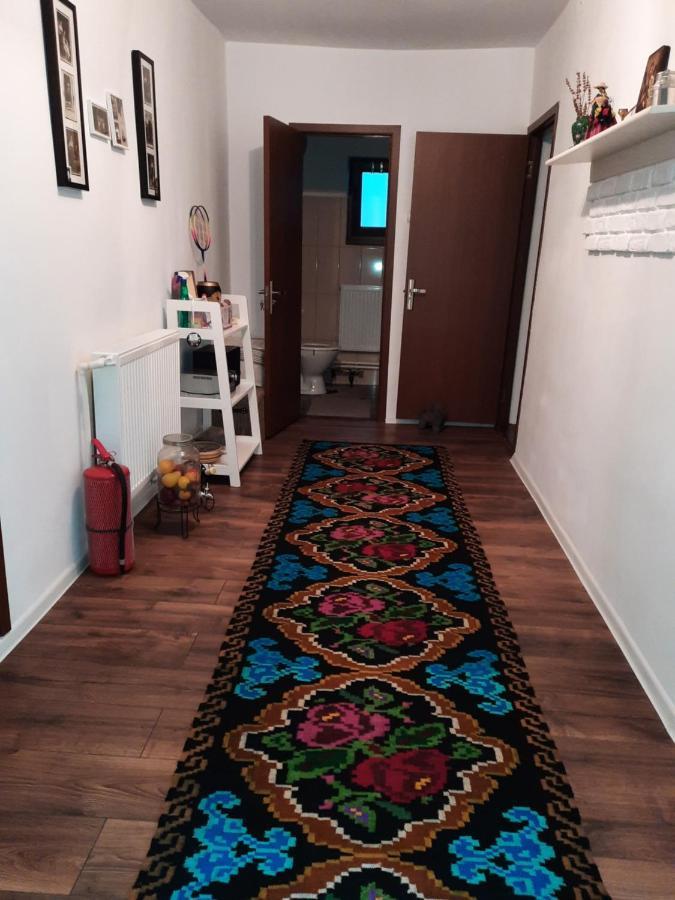 Villa Casa Bunicilor Ciprian Porumbescu Esterno foto