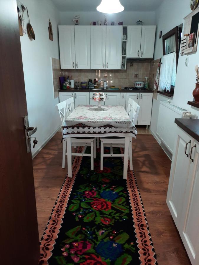Villa Casa Bunicilor Ciprian Porumbescu Esterno foto