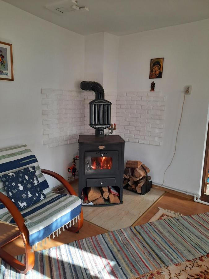 Villa Casa Bunicilor Ciprian Porumbescu Esterno foto