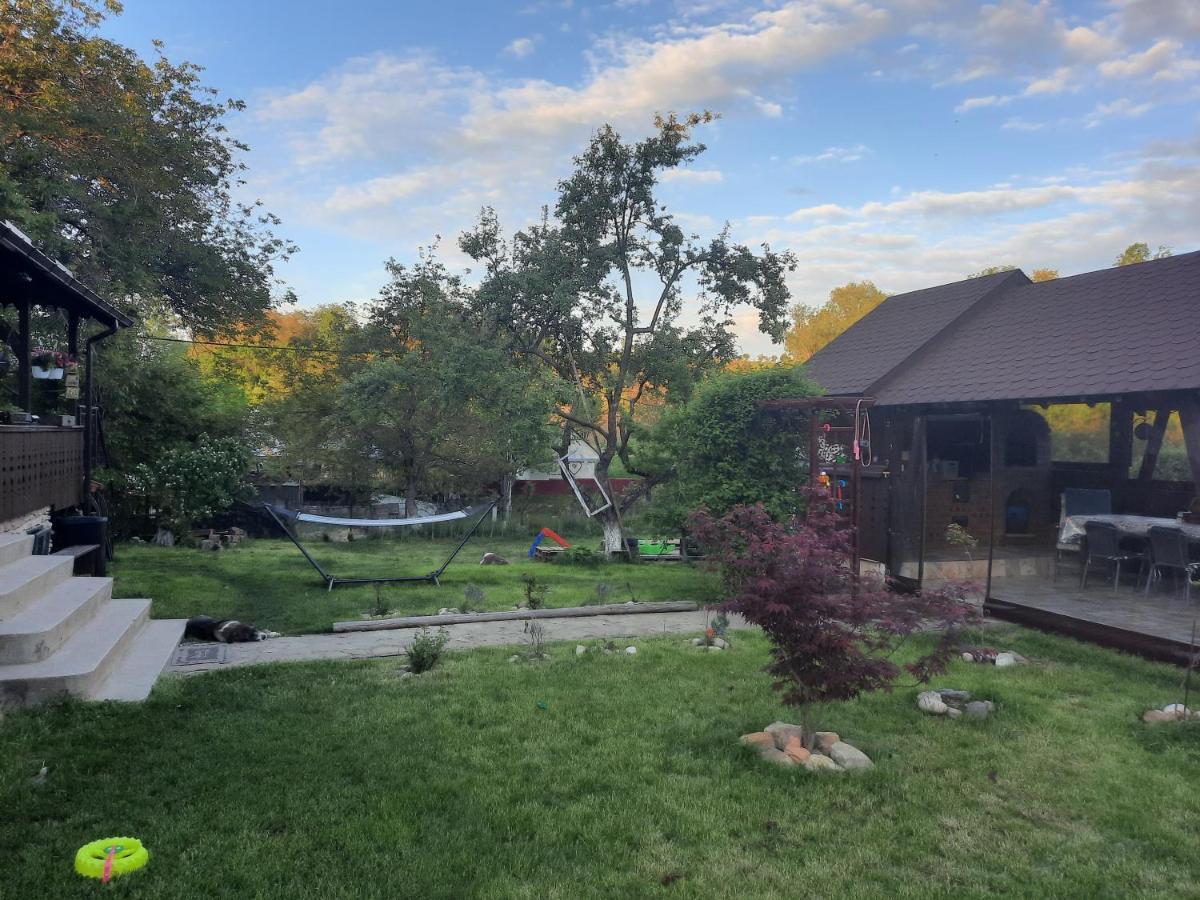 Villa Casa Bunicilor Ciprian Porumbescu Esterno foto