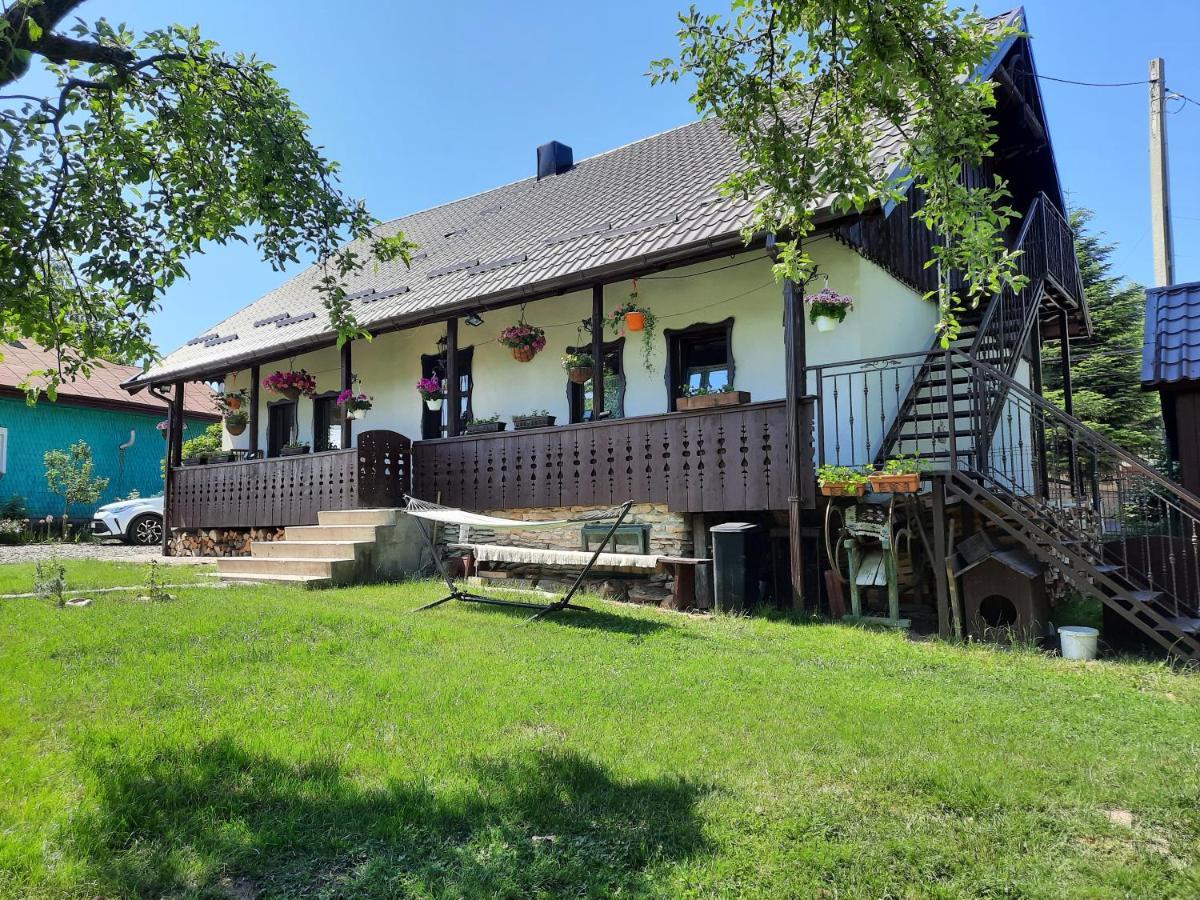 Villa Casa Bunicilor Ciprian Porumbescu Esterno foto