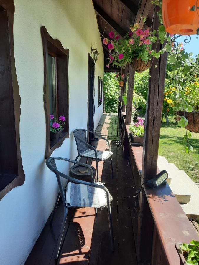 Villa Casa Bunicilor Ciprian Porumbescu Esterno foto