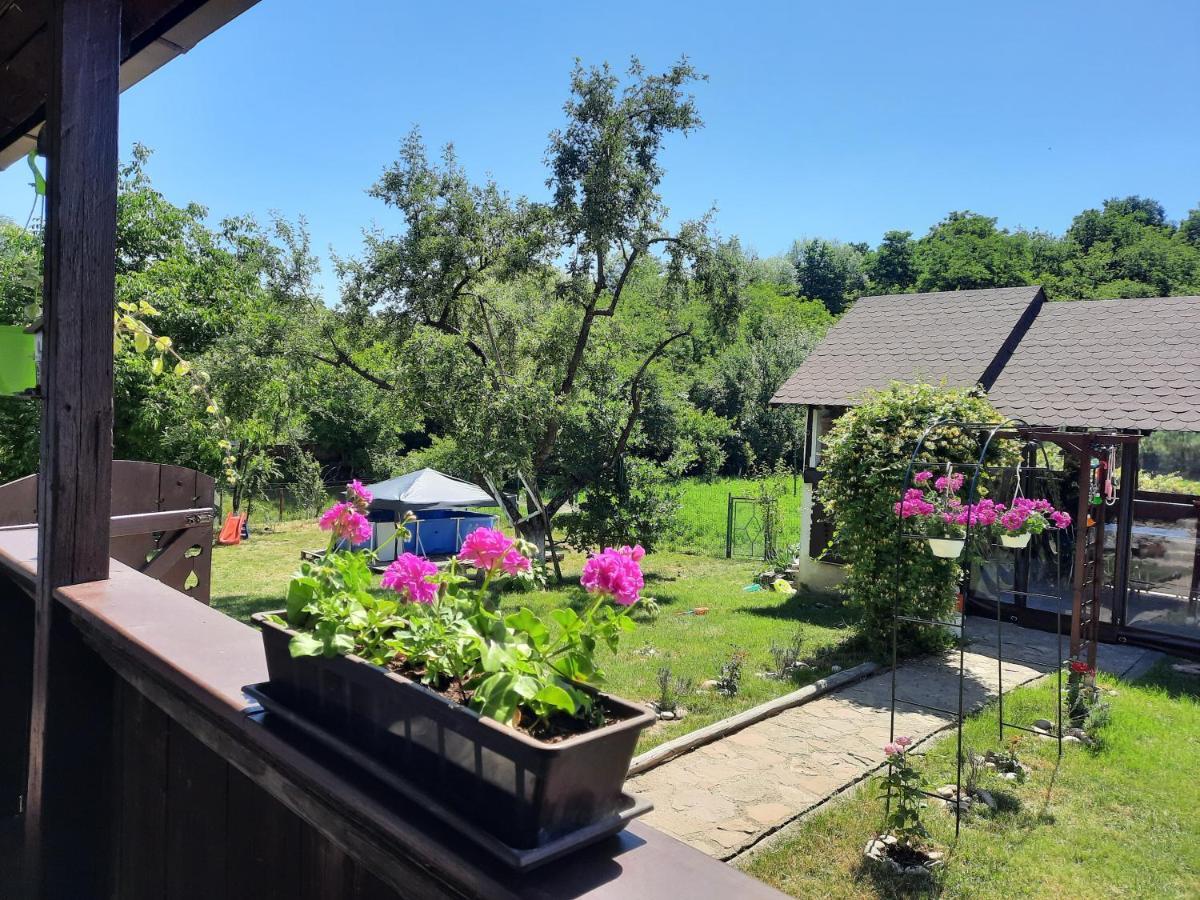 Villa Casa Bunicilor Ciprian Porumbescu Esterno foto