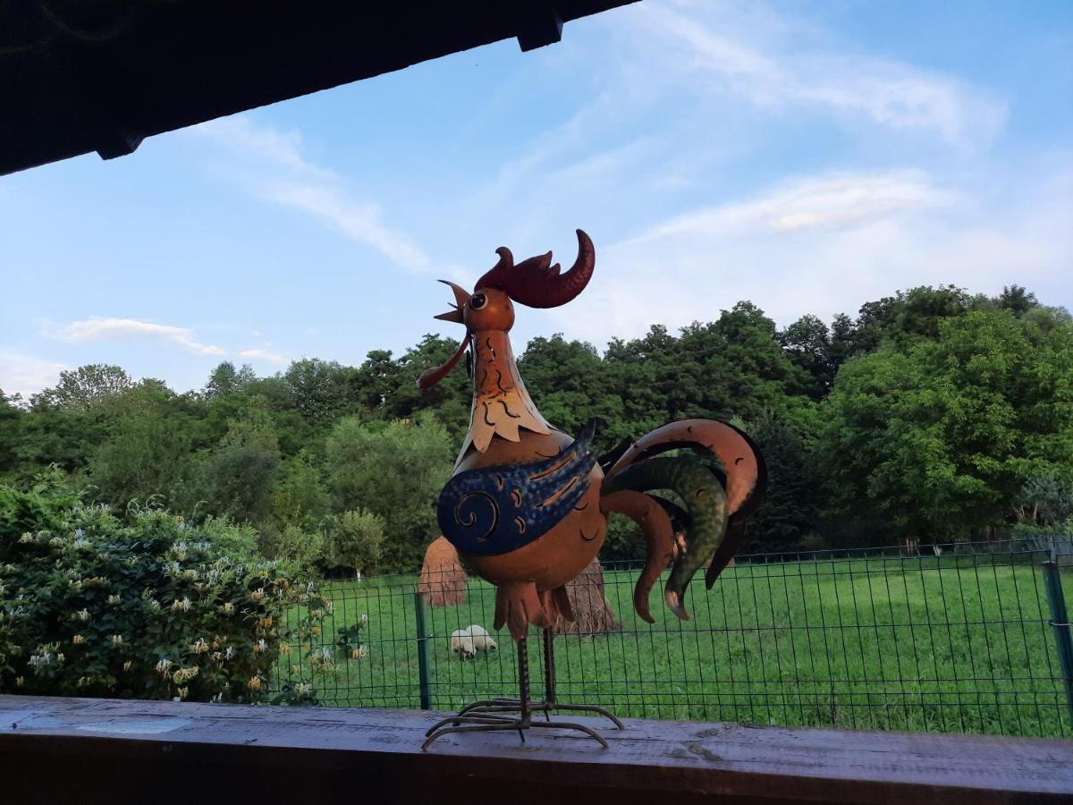 Villa Casa Bunicilor Ciprian Porumbescu Esterno foto