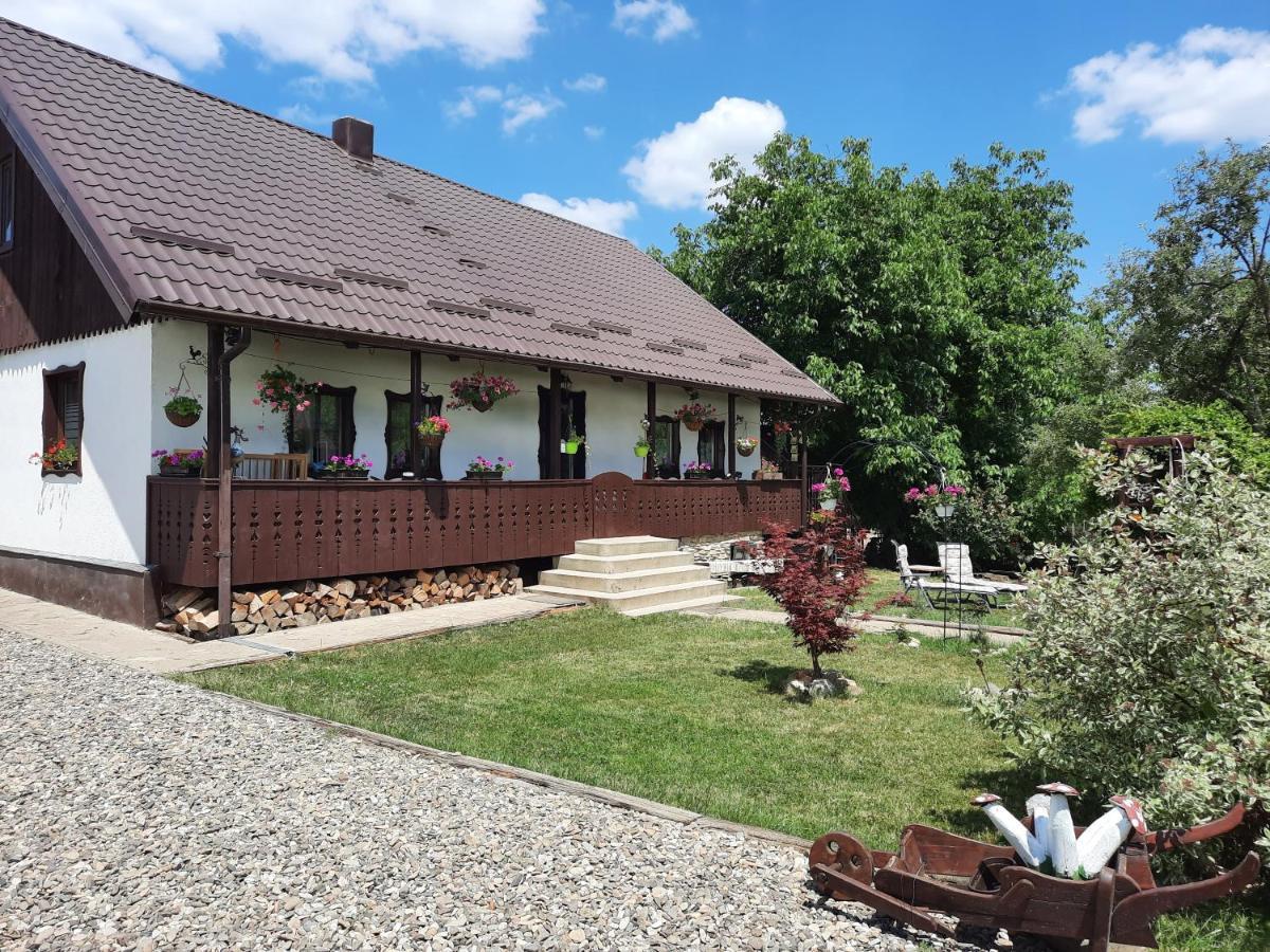 Villa Casa Bunicilor Ciprian Porumbescu Esterno foto