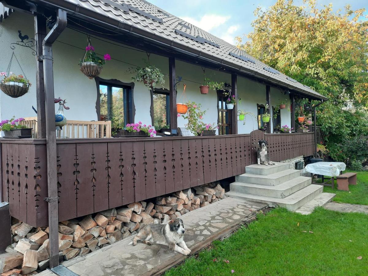 Villa Casa Bunicilor Ciprian Porumbescu Esterno foto