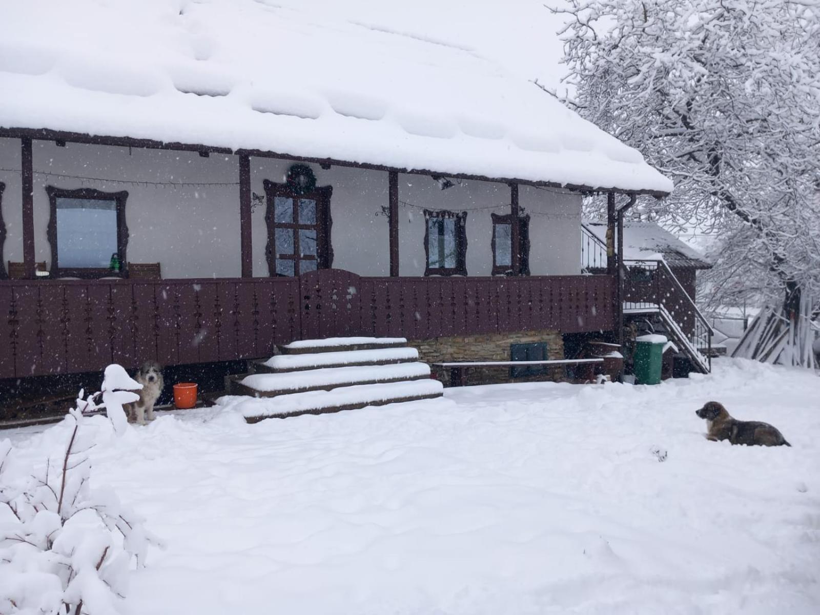 Villa Casa Bunicilor Ciprian Porumbescu Esterno foto